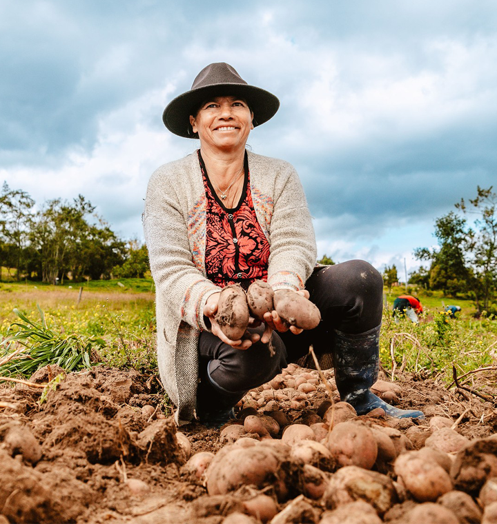Female farmer holding potatoes in a field