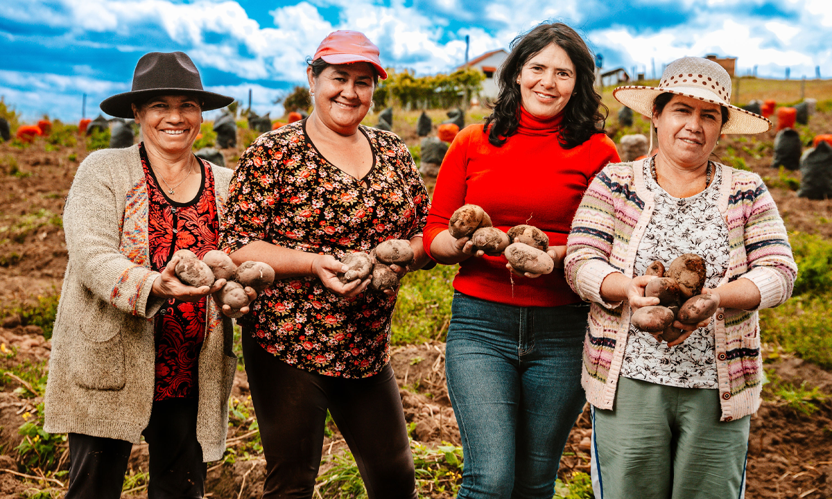 Women holding freshly harvested potatoes in a field